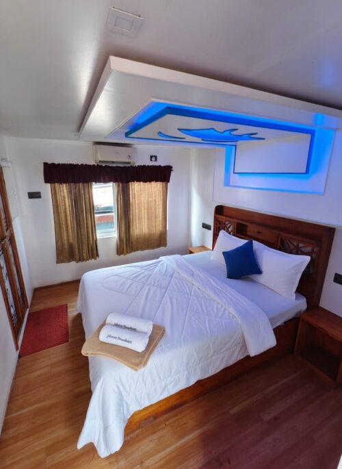 three bedroom boathouse kerala premium