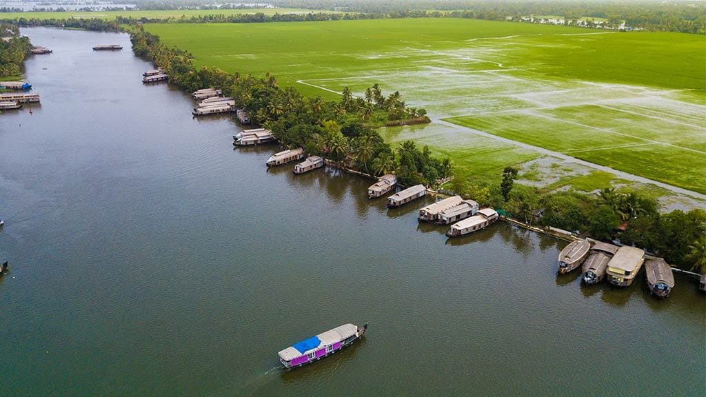 Day Cruise in Alleppey Houseboat (11 AM to 5 PM)