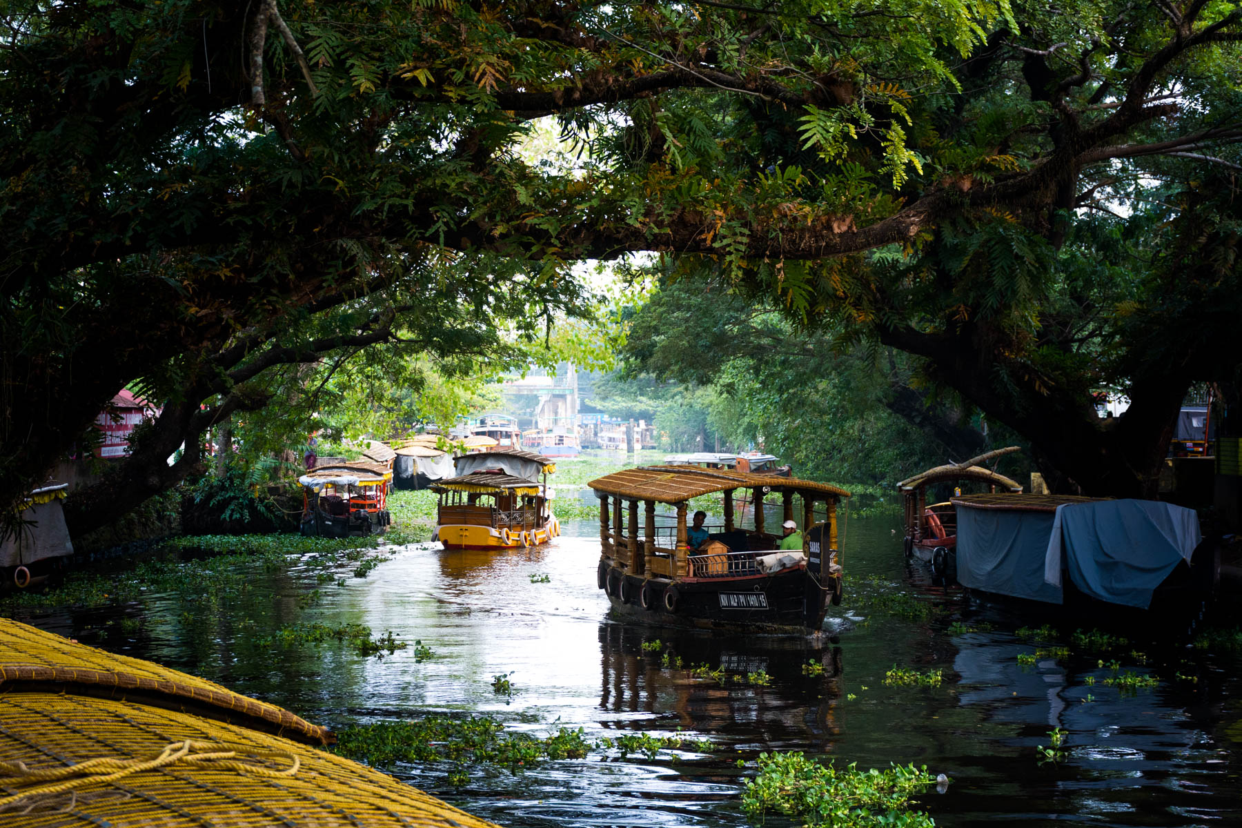 A Budget Traveler’s Guide to Houseboats in Kerala