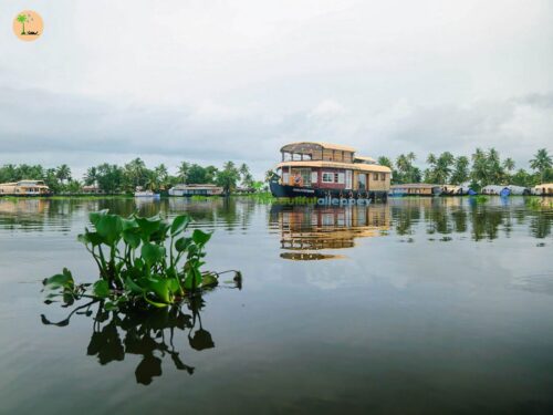 1 bedroom houseboat in alleppey