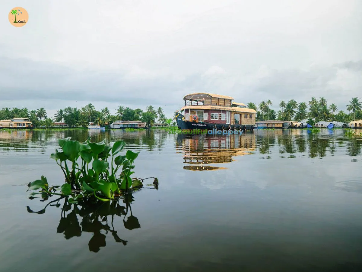 1 bedroom houseboat in alleppey