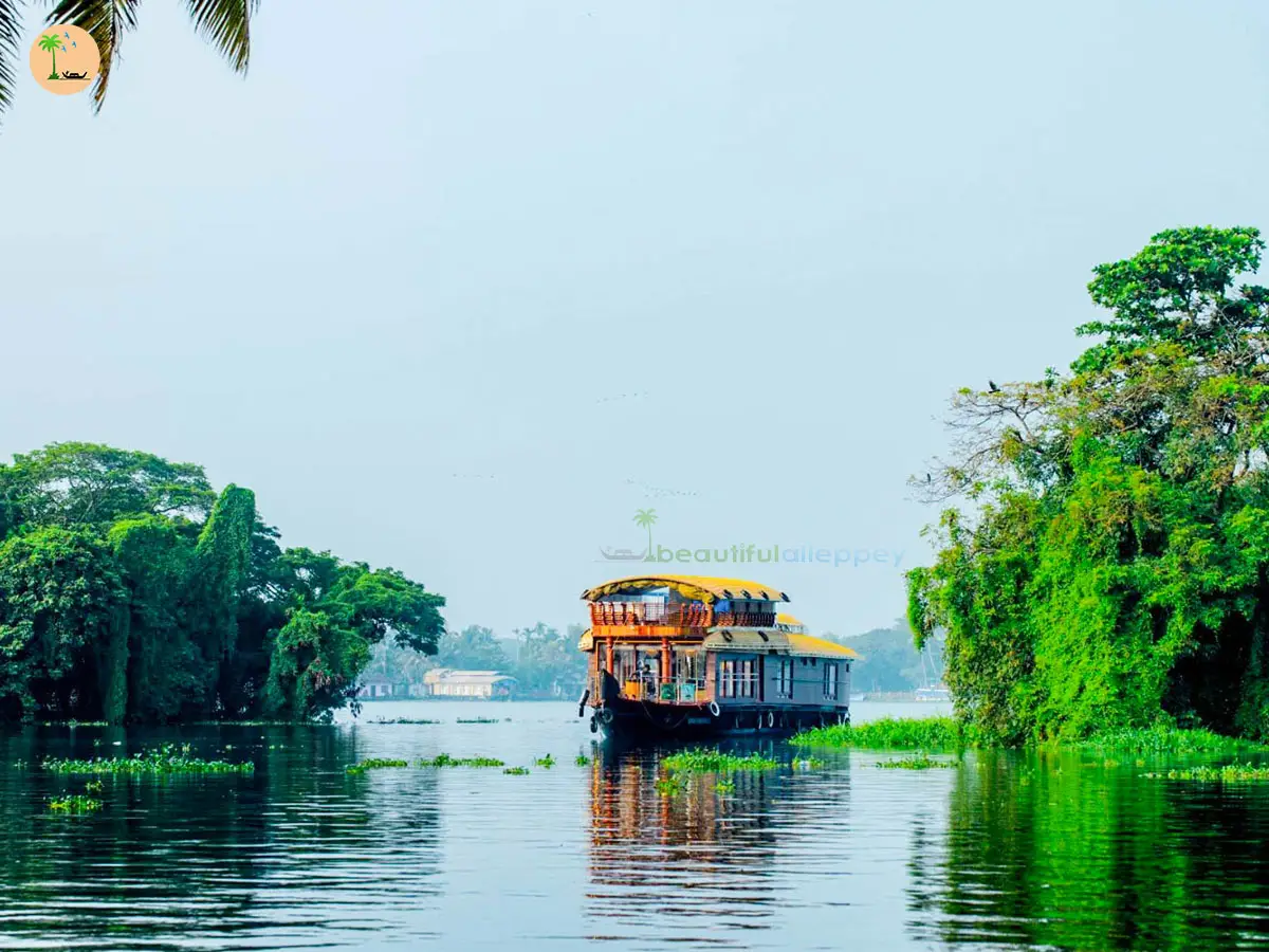 Traditional Alleppey houseboat cruising on Vembanad Lake in Kerala